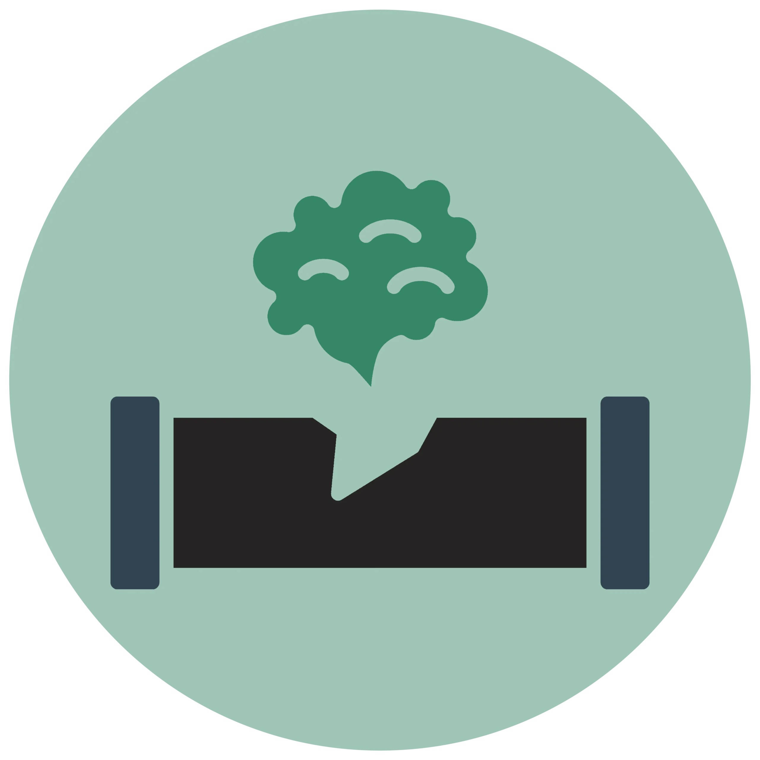 V1 Environmental - Inspect components icon
